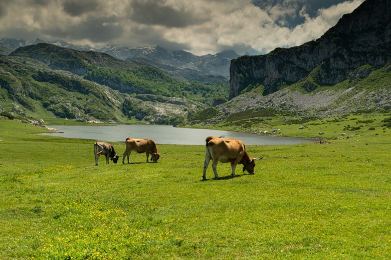 Lago Bricial